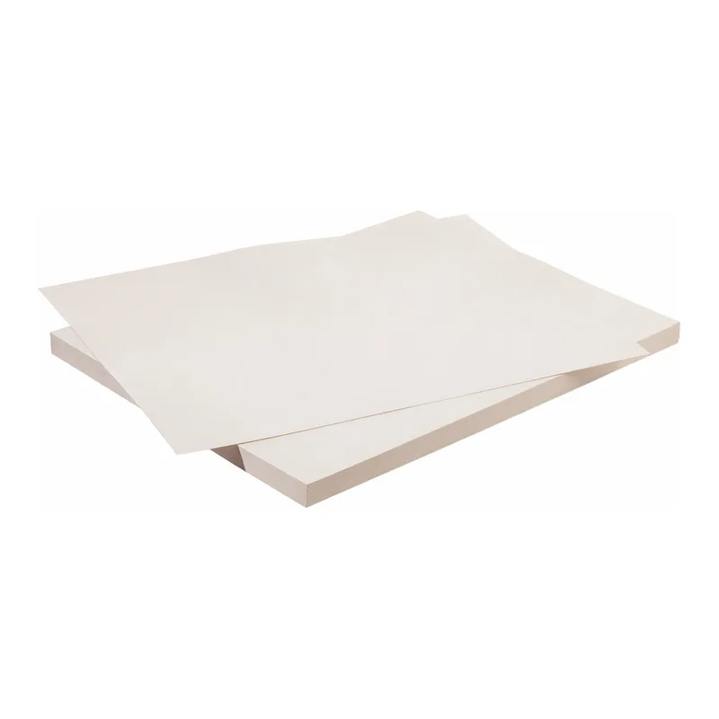 Thermo Fisher Scientific Nalgene Polyolefin Plastic Paper Sheets