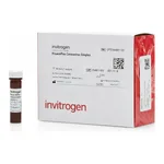 Thermo Fisher Scientific CoV-229E Ig Total Human ProcartaPlex Simplex Kit