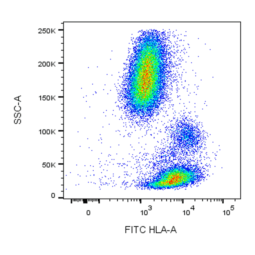 BD FITC Mouse Anti-Human HLA-A