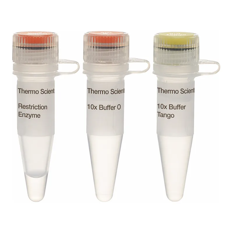 Thermo Fisher Scientific BshTI (AgeI) (10 U/μL), 200 units