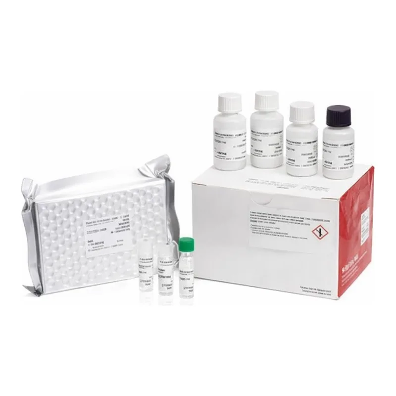 Thermo Fisher Scientific Human Ferritin Rapid ELISA Kit
