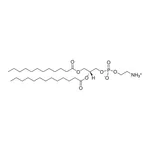 Merck 12:0-13:0 PE