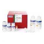 Intron DNA-spin™ Plasmid DNA Purification Kit
