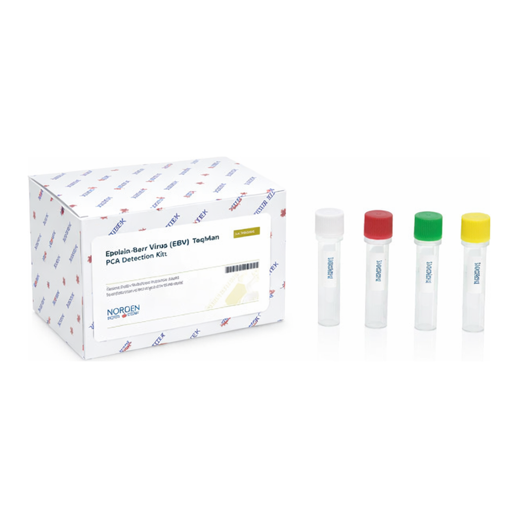Norgen Epstein-Barr Virus (EBV) TaqMan Probe/Primer and Control Set
