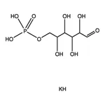 Merck D-GLUCOSE 6-PHOSPHATE DIPOTASSIUM &