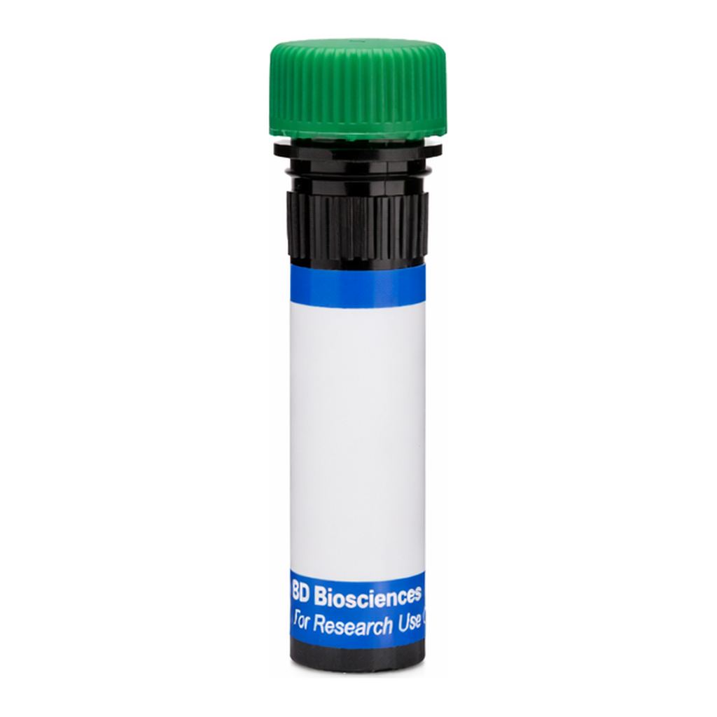 BD RB545 Rat Anti-Mouse FR4 (Folate Receptor 4)