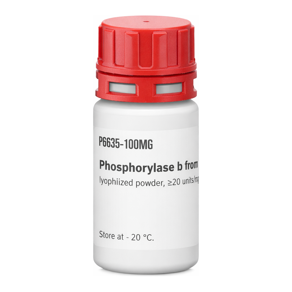 Merck PHOSPHORYLASE-B FROM RABBIT MUSCLE