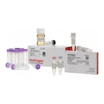 Thermo Fisher Scientific GeneArt Gibson Assembly EX Cloning Kit, chemically competent cells