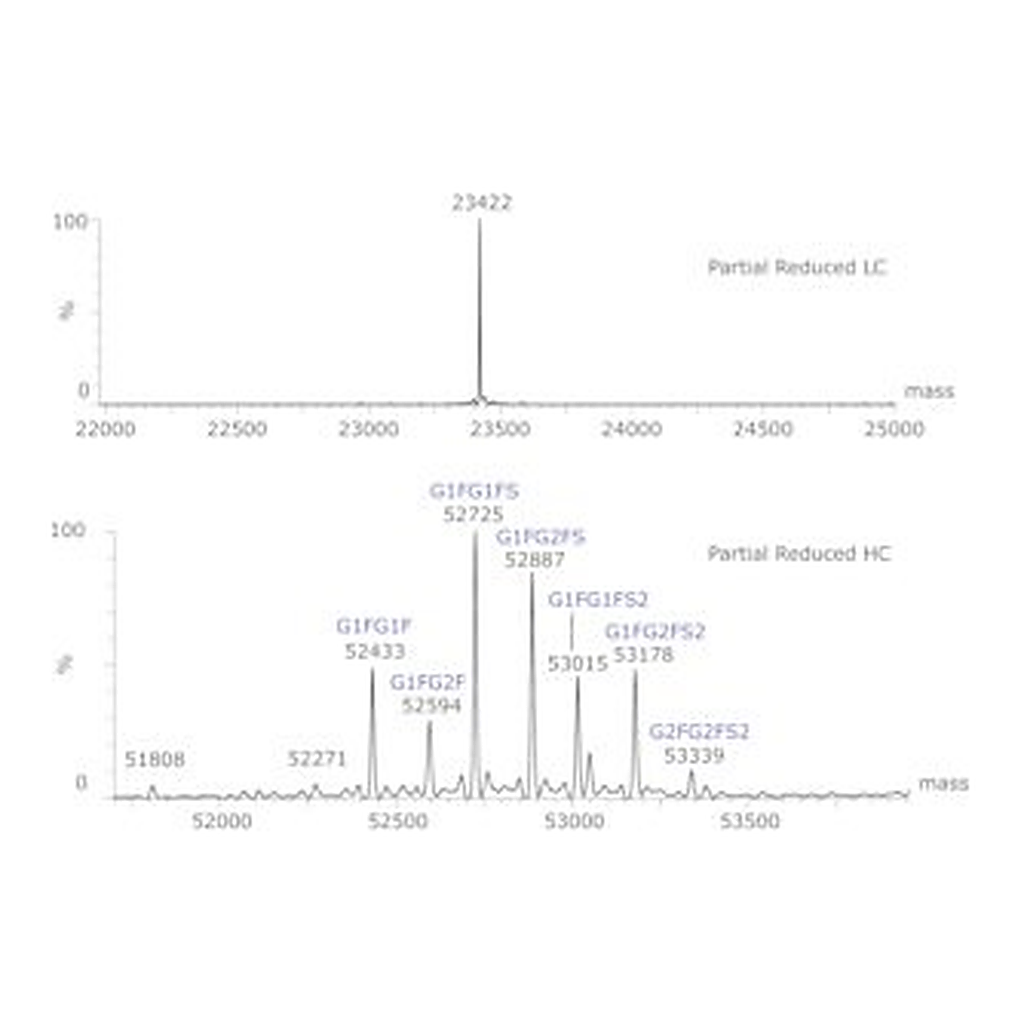 Merck SILU(TM)LITE SIGMAMAB CETUXIMAB MONOCLO&