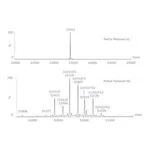 Merck SILU(TM)LITE SIGMAMAB CETUXIMAB MONOCLO&