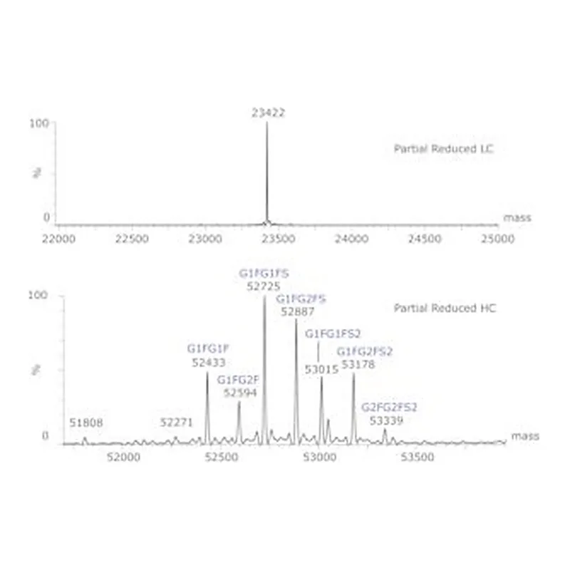 Merck SILU(TM)LITE SIGMAMAB CETUXIMAB MONOCLO&