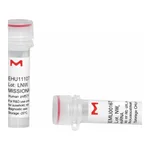 Merck MISSION(R) esiRNA