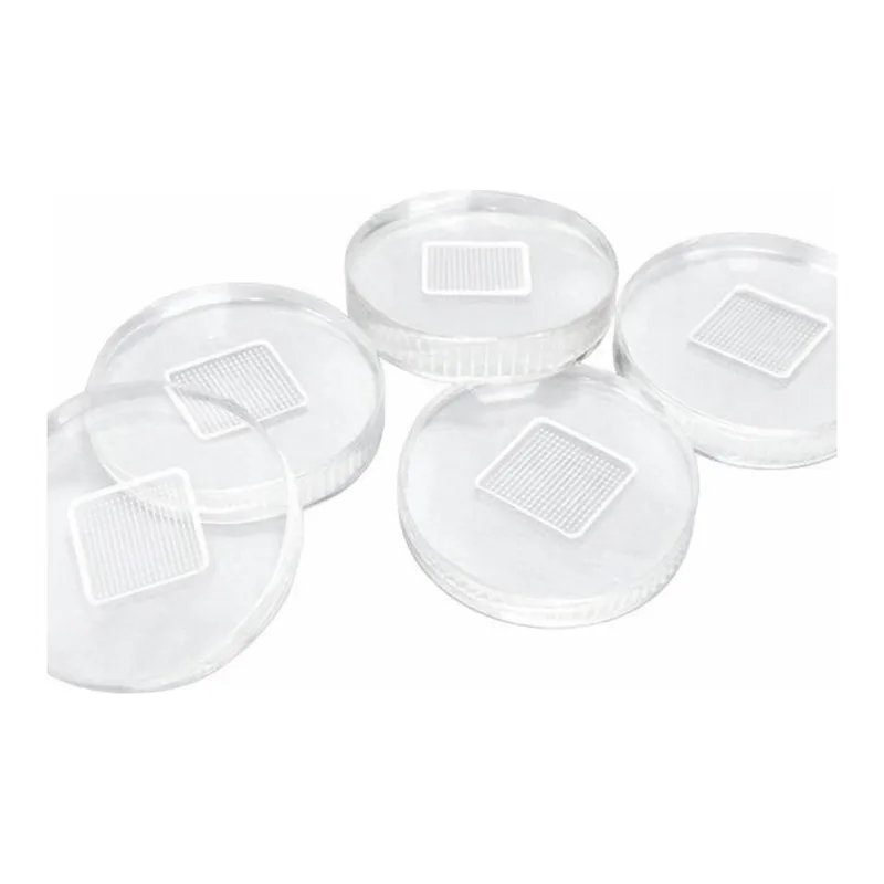 Merck Microneedle template