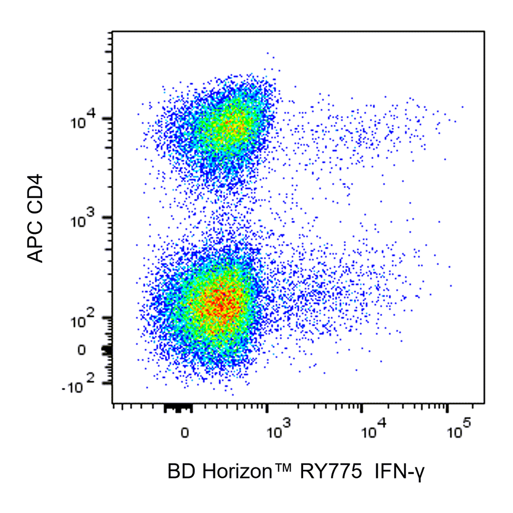 BD RY775 Rat Anti-Mouse IFN-γ