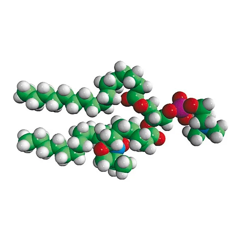 Merck 16:0-7 Doxyl PC