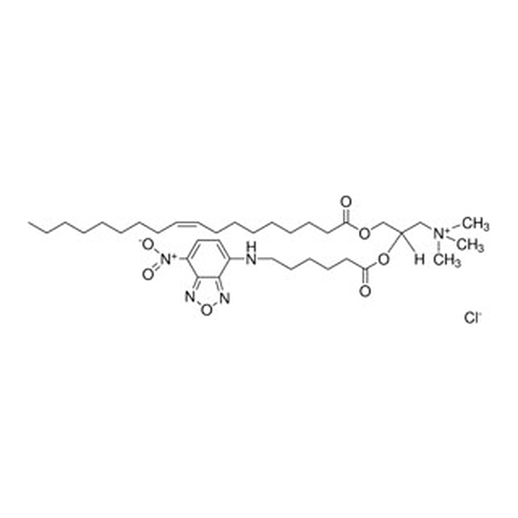 Merck FLUORESCENT DOTAP