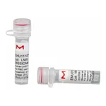 Merck MISSION(R) esiRNA