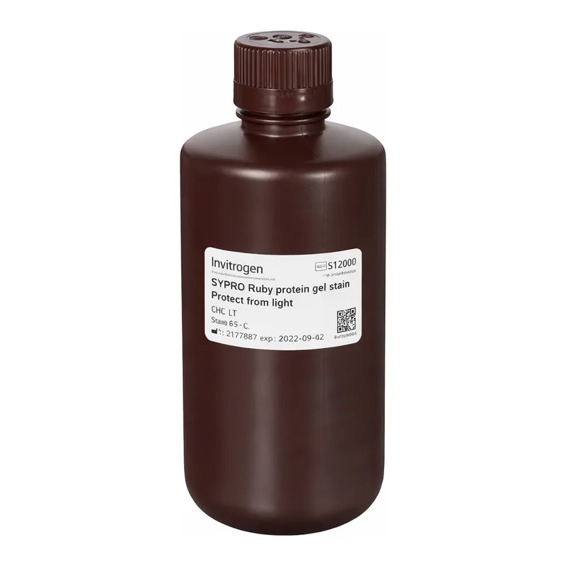 Thermo Fisher Scientific SYPRO Ruby Protein Gel Stain, 1 L