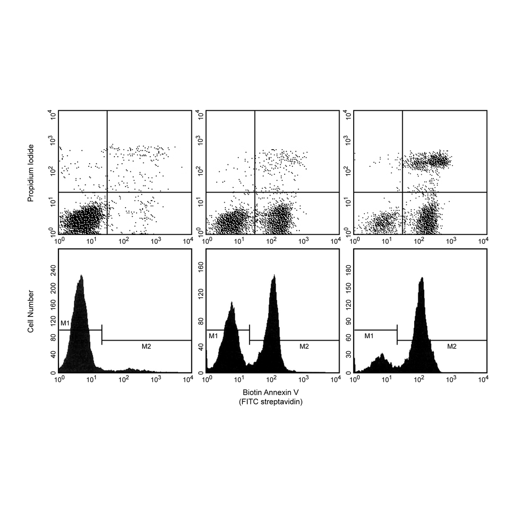BD Biotin Annexin V
