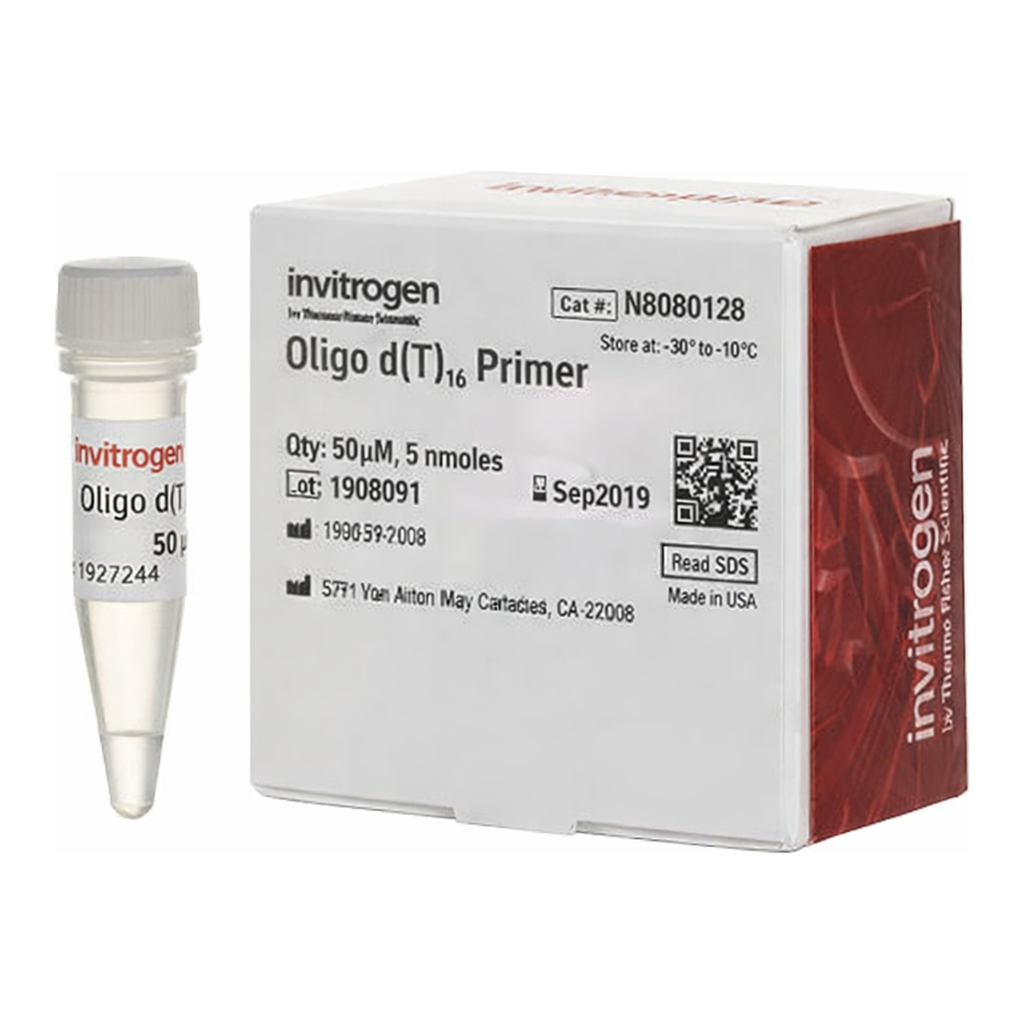 Thermo Fisher Scientific Oligo d(T)16 (50 &mu;M)