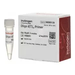 Thermo Fisher Scientific Oligo d(T)16 (50 μM)
