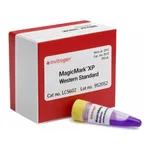 Thermo Fisher Scientific MagicMark XP Western Protein Standard, 250 μL