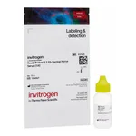 Thermo Fisher Scientific ReadyProbes 2.5% Normal Horse Serum (1X)