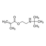 Merck 2-(TERT-BUTYLAMINO)ETHYL METHACRYLATE, &