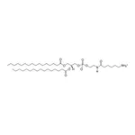 Merck 16:0 Caproylamine PE