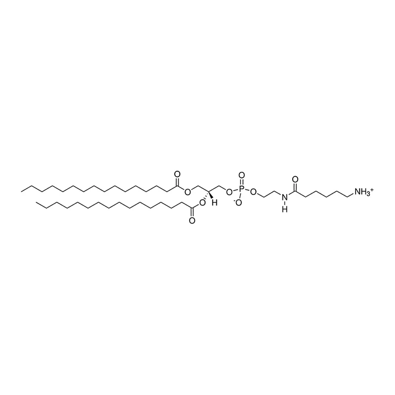 Merck 16:0 Caproylamine PE