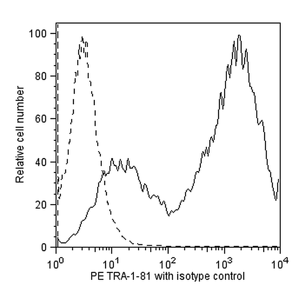 BD PE Mouse anti-Human TRA-1-81 Antigen