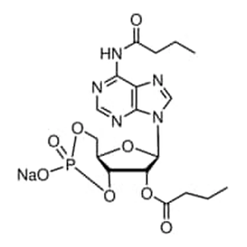 Merck N6,2``-O-DIBUTYRYLADENOSINE 3``:5``-CYCLIC&