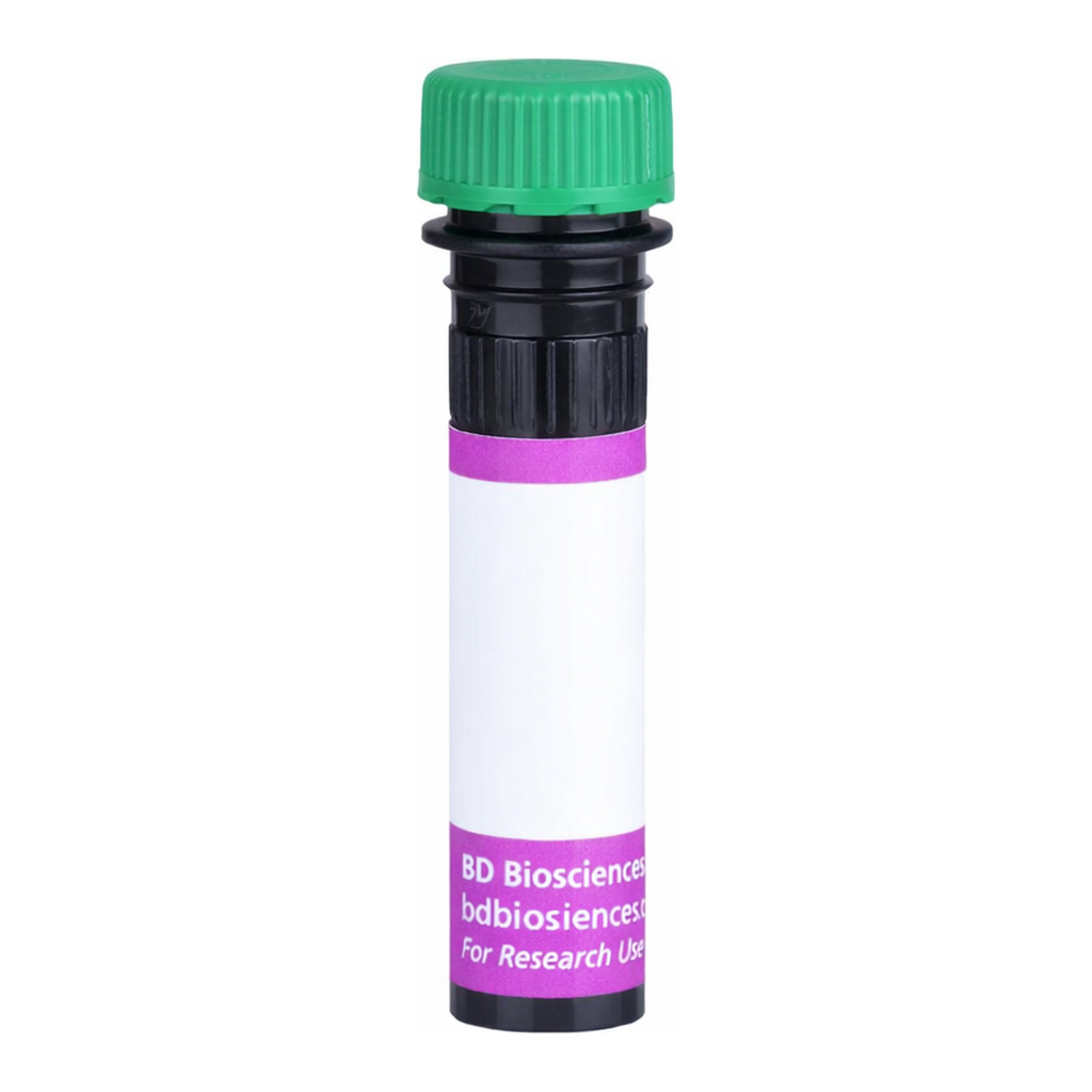 BD BV510 Biosimilar Anti-Human CD20