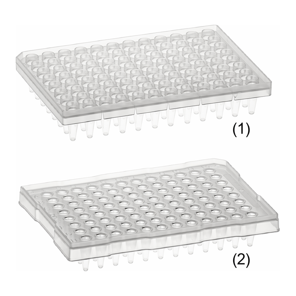 Daihan Science Simport AmplateTM Semi-Skirted 0.2 & 0.25㎖ 96-well PCR Plate, PP, Thin Wall<br>