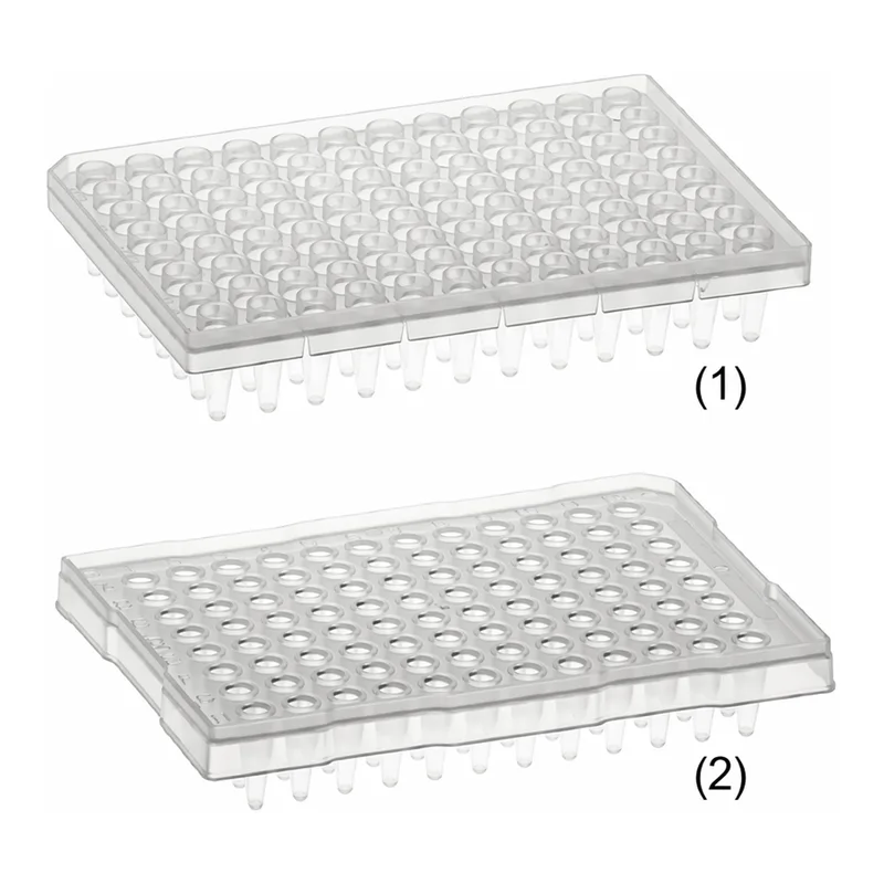 Daihan Science Simport AmplateTM Semi-Skirted 0.2 & 0.25㎖ 96-well PCR Plate, PP, Thin Wall<br>