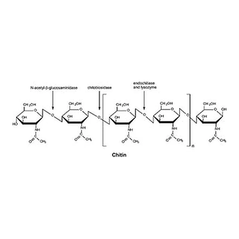 Merck CHITINASE FROM TRICHODERMA VIRIDE