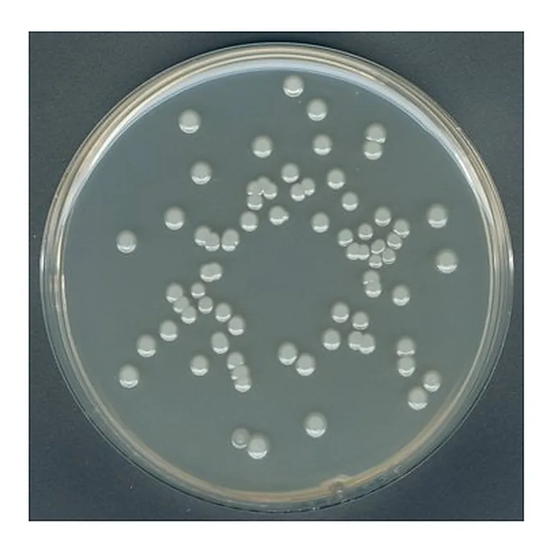 Merck Plate Count AgarNutriSelect Plus