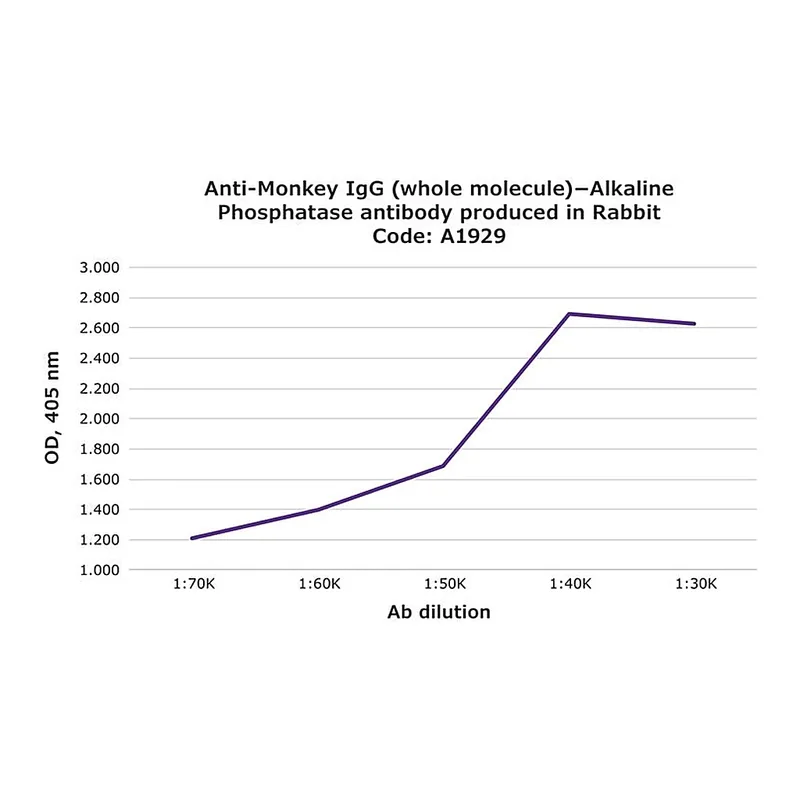 Merck Anti-Monkey IgG (whole molecule)-Alkaline Phosphatase antibody produced in rabbit