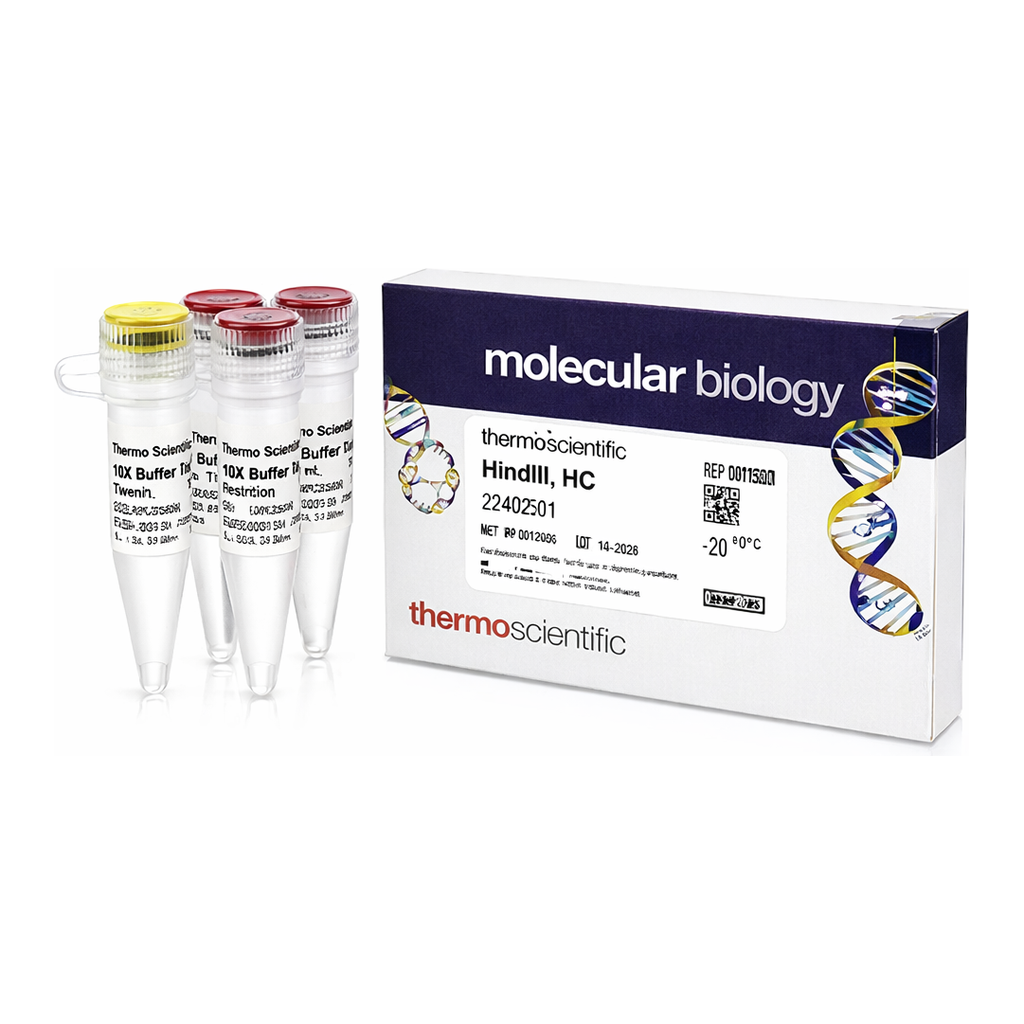 Thermo Fisher Scientific HindIII, HC (50 U/&mu;L)