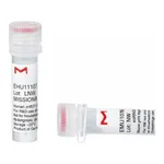 Merck MISSION(R) esiRNA