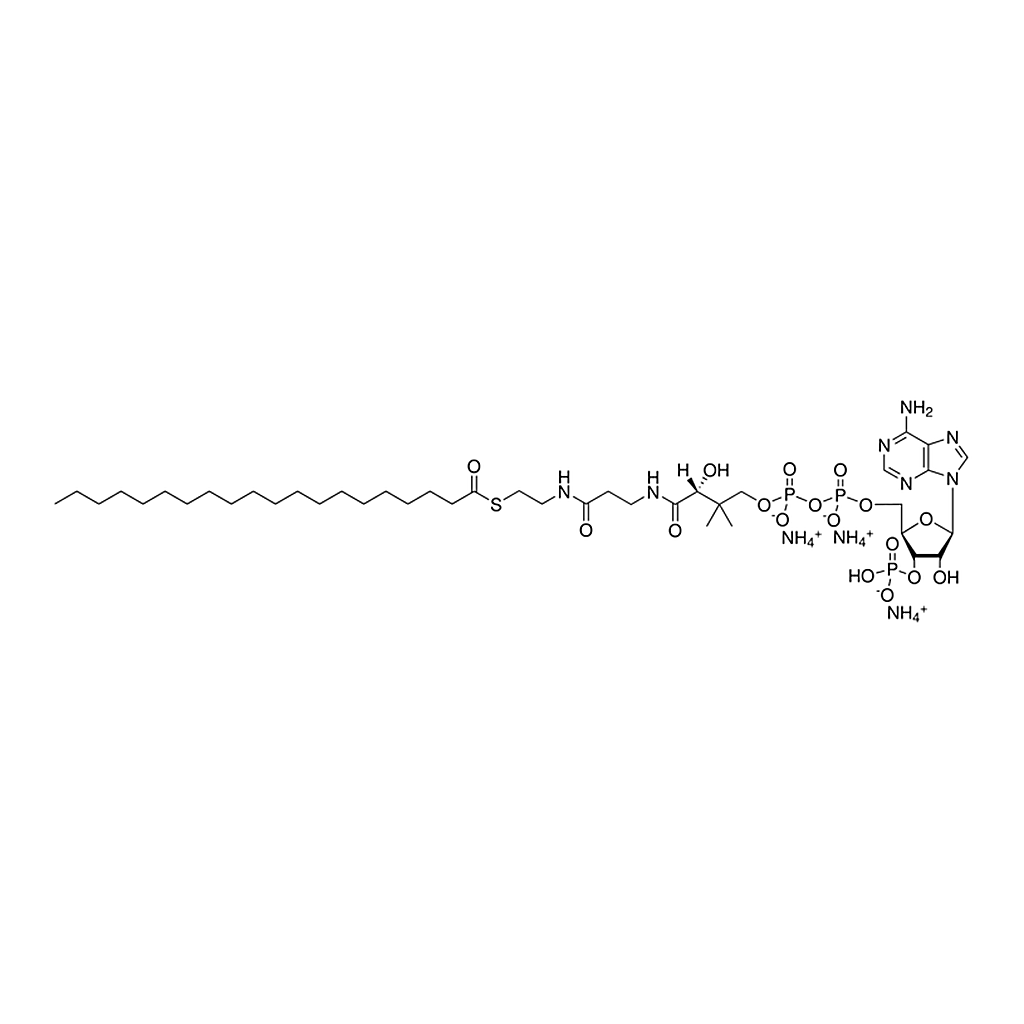 Merck 20:0 Coenzyme A