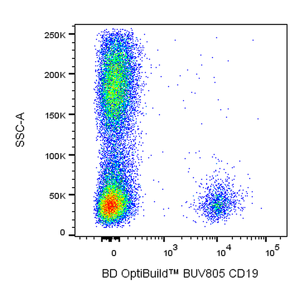 BD BUV805 Mouse Anti-Human CD19