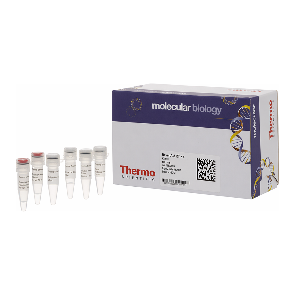 Thermo Fisher Scientific RevertAid RT Reverse Transcription Kit