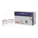 Thermo Fisher Scientific RevertAid RT Reverse Transcription Kit