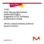Merck Anti-Mouse IgG (whole molecule) F(ab')2 fragment-FITC antibody produced in sheep