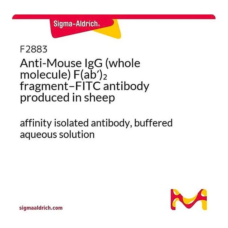 Merck Anti-Mouse IgG (whole molecule) F(ab')2 fragment-FITC antibody produced in sheep