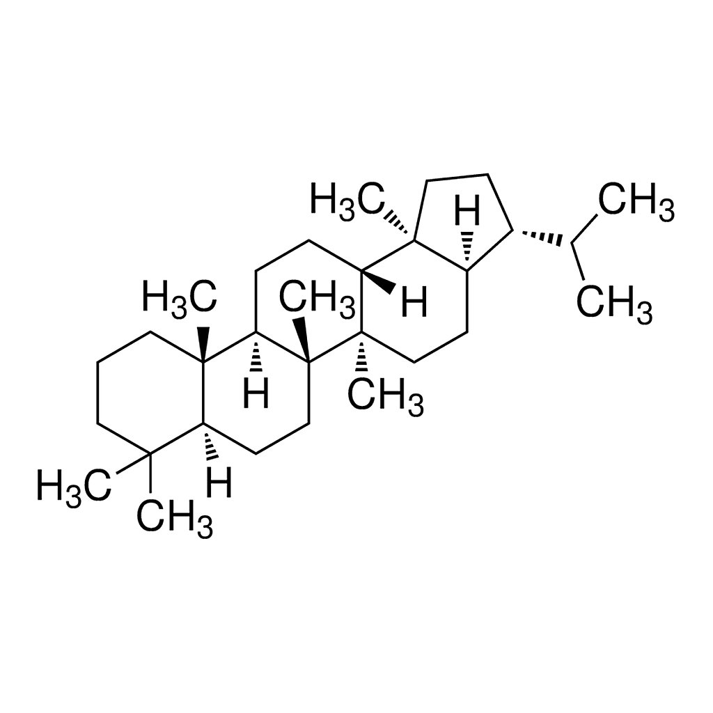Merck 17alpha(H),21beta(H)-Hopane solution