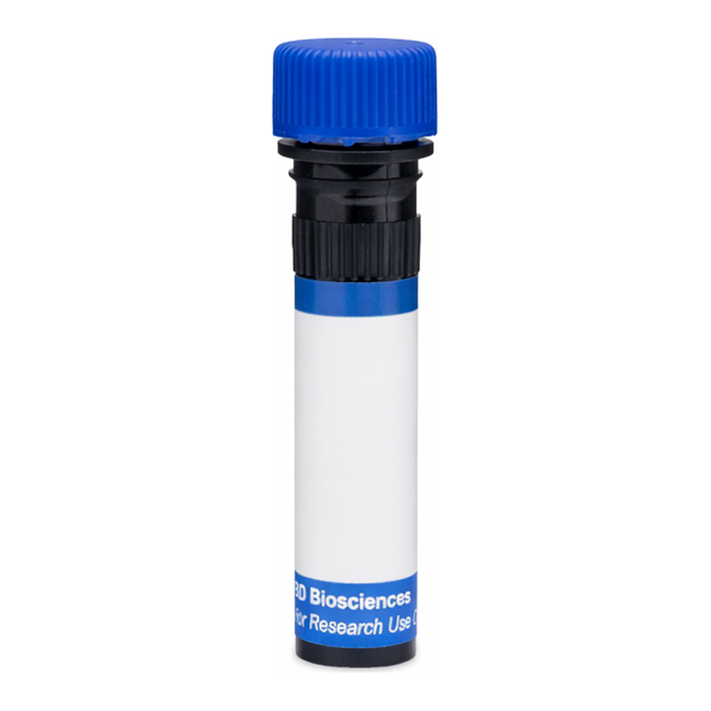 BD RB780 Rat Anti-Mouse Vβ 6 T-Cell Receptor