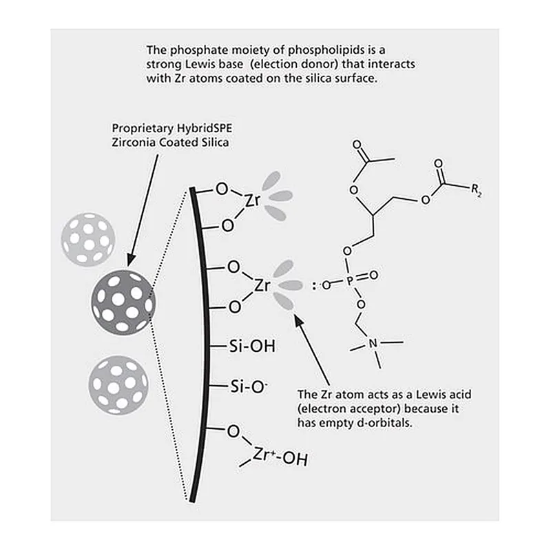 Merck PK200 30MG/1ML HYBRIDSPE-PHOSPHOLIPID &