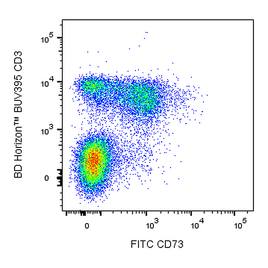 BD FITC Rat Anti-Mouse CD73